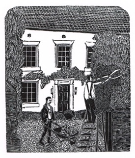 Hedge Trimming wood engraving by Michael Atkin